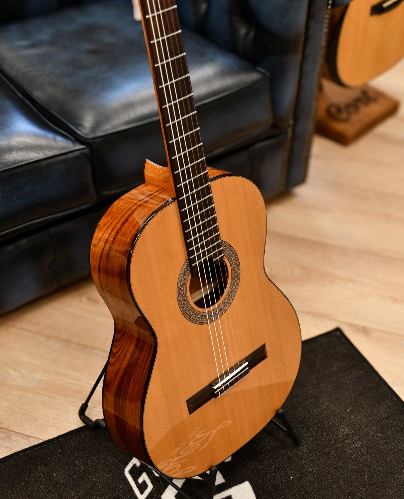 DUKE Basis C Konzertgitarre