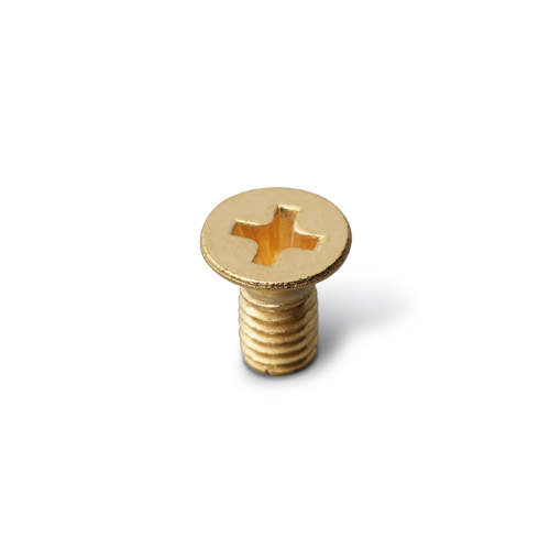 Warwick Parts - Screw for Old Style Electronics Compartment Cover - Gold