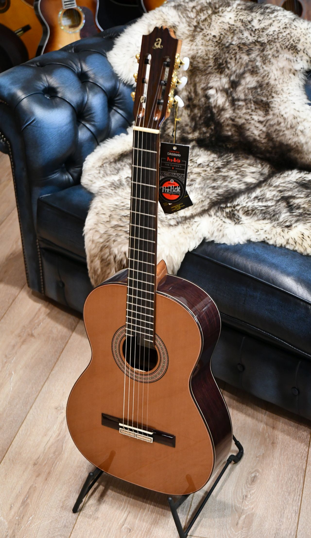 Admira A50 Spanische Konzertgitarre Zeder Vollmassiv - Einzelanfertigung