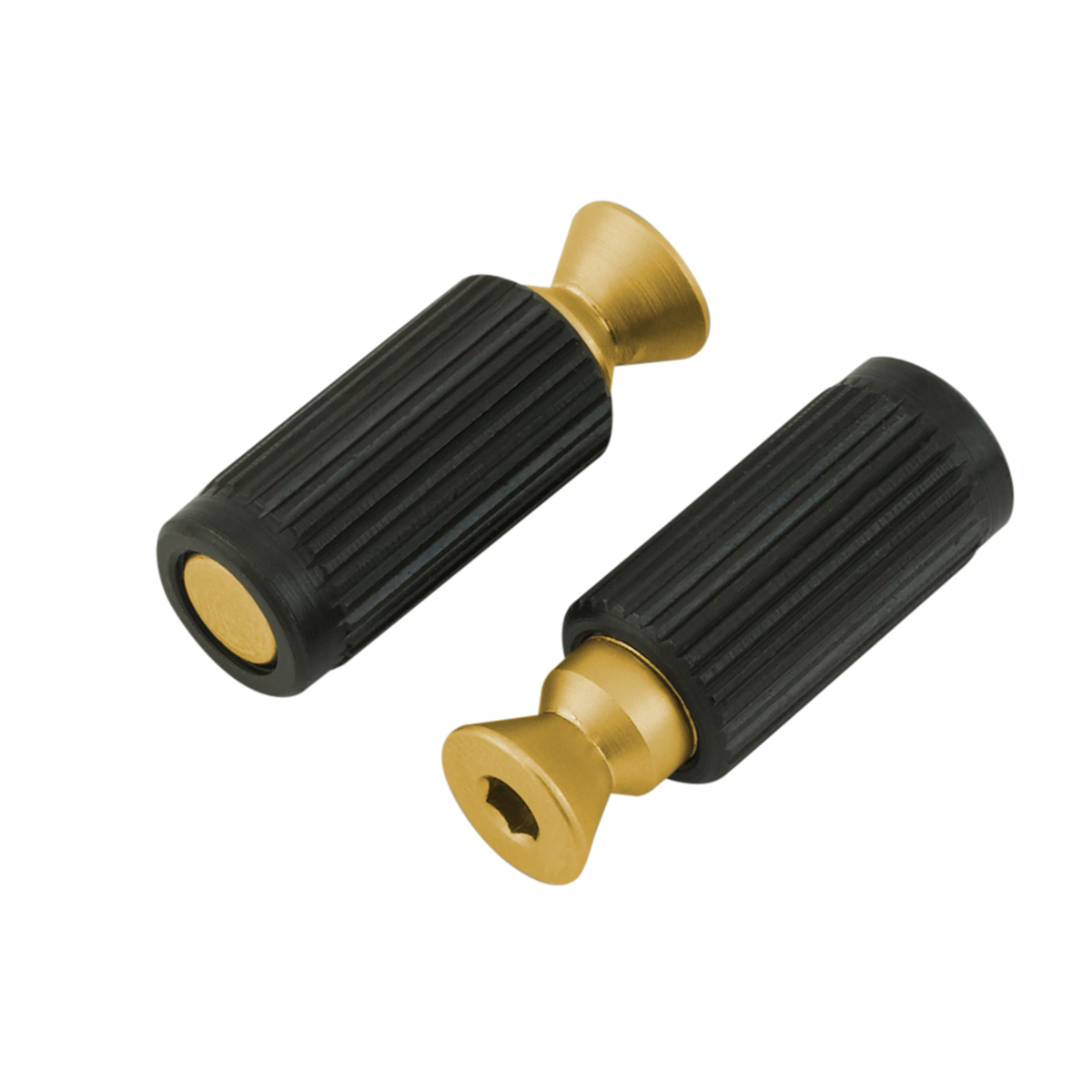 Floyd Rose FR1BMMSSG - 1000 / Special Bridge Mounting Studs & Inserts - Satin Gold