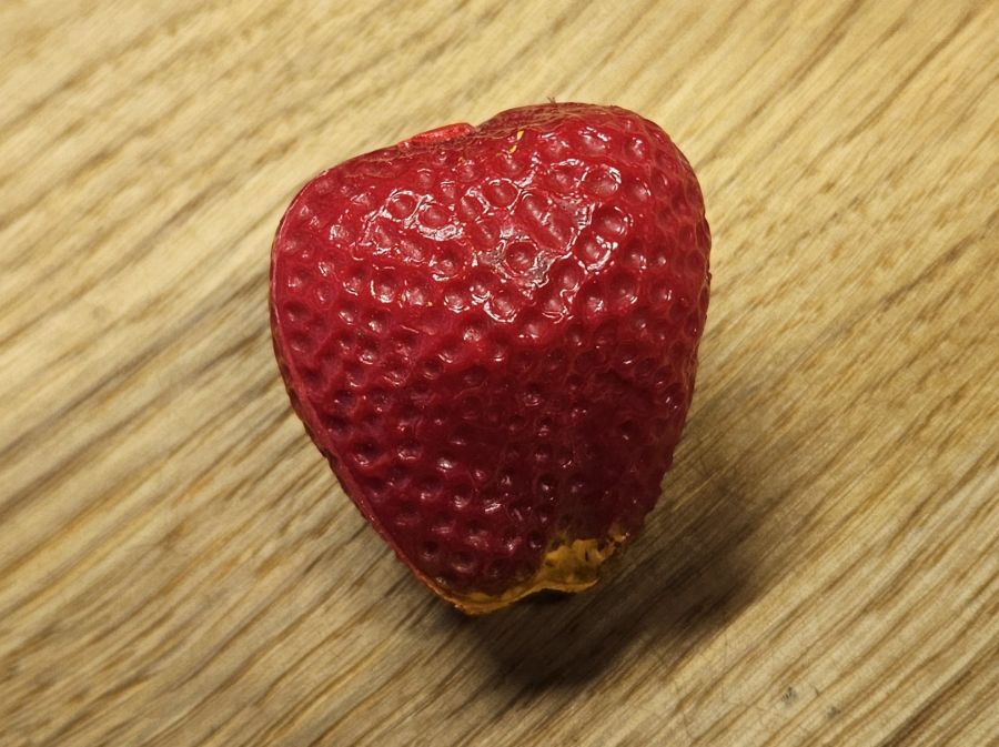 NINO 536 Frucht Shaker Erdbeere