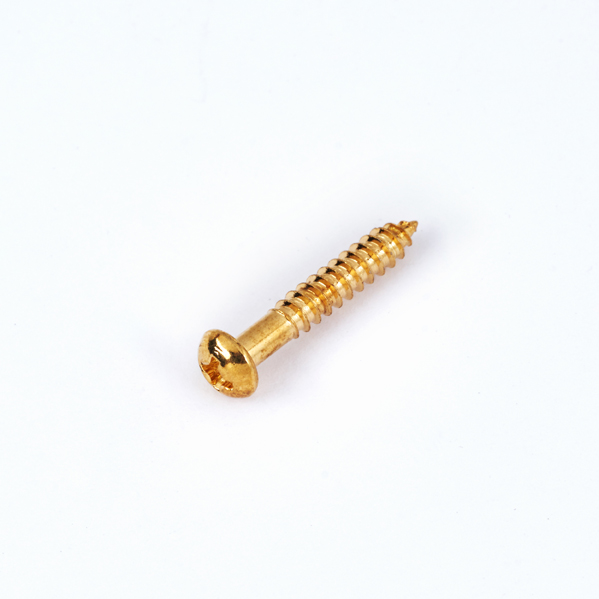 Bigsby Screw, Hinge Regular Gold