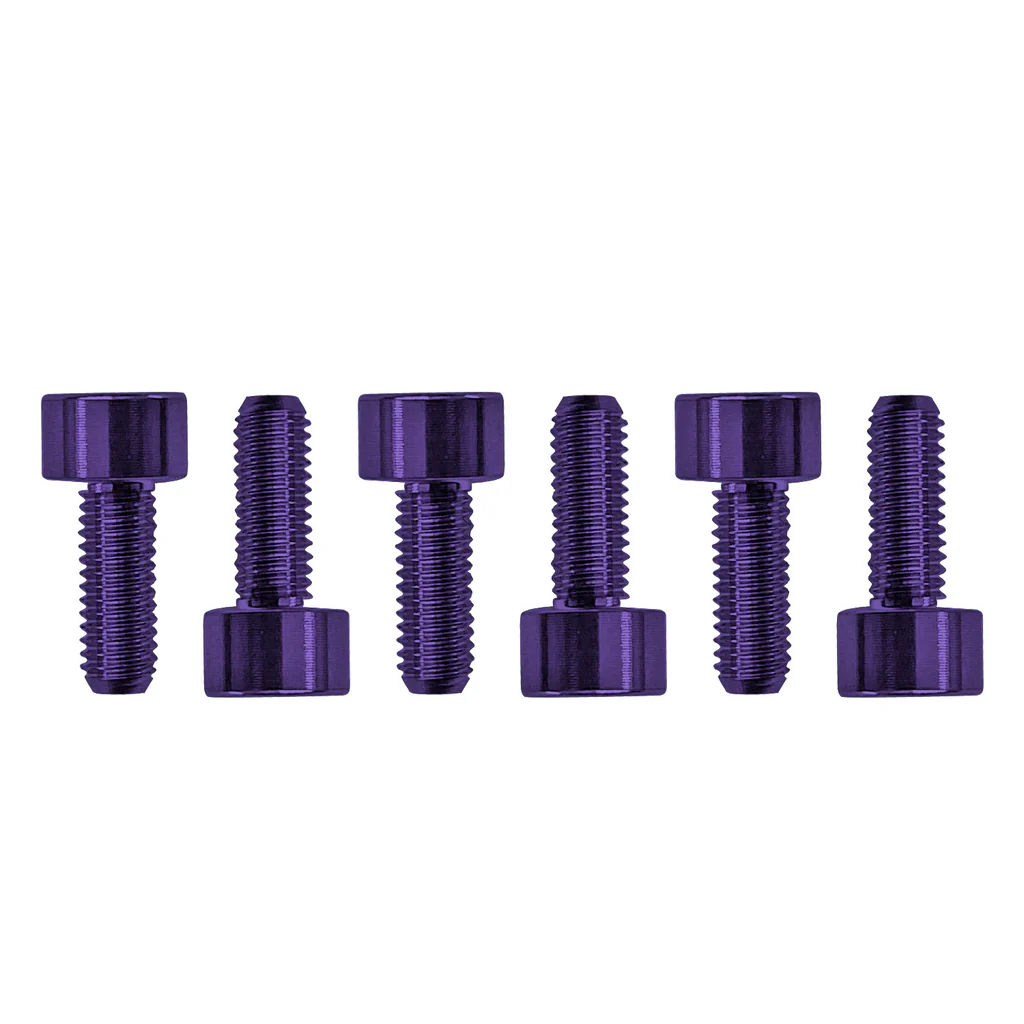 Floyd Rose FROSMSPLP - Color Stainless Steel Saddle Mounting Screws (6 pcs), Purple