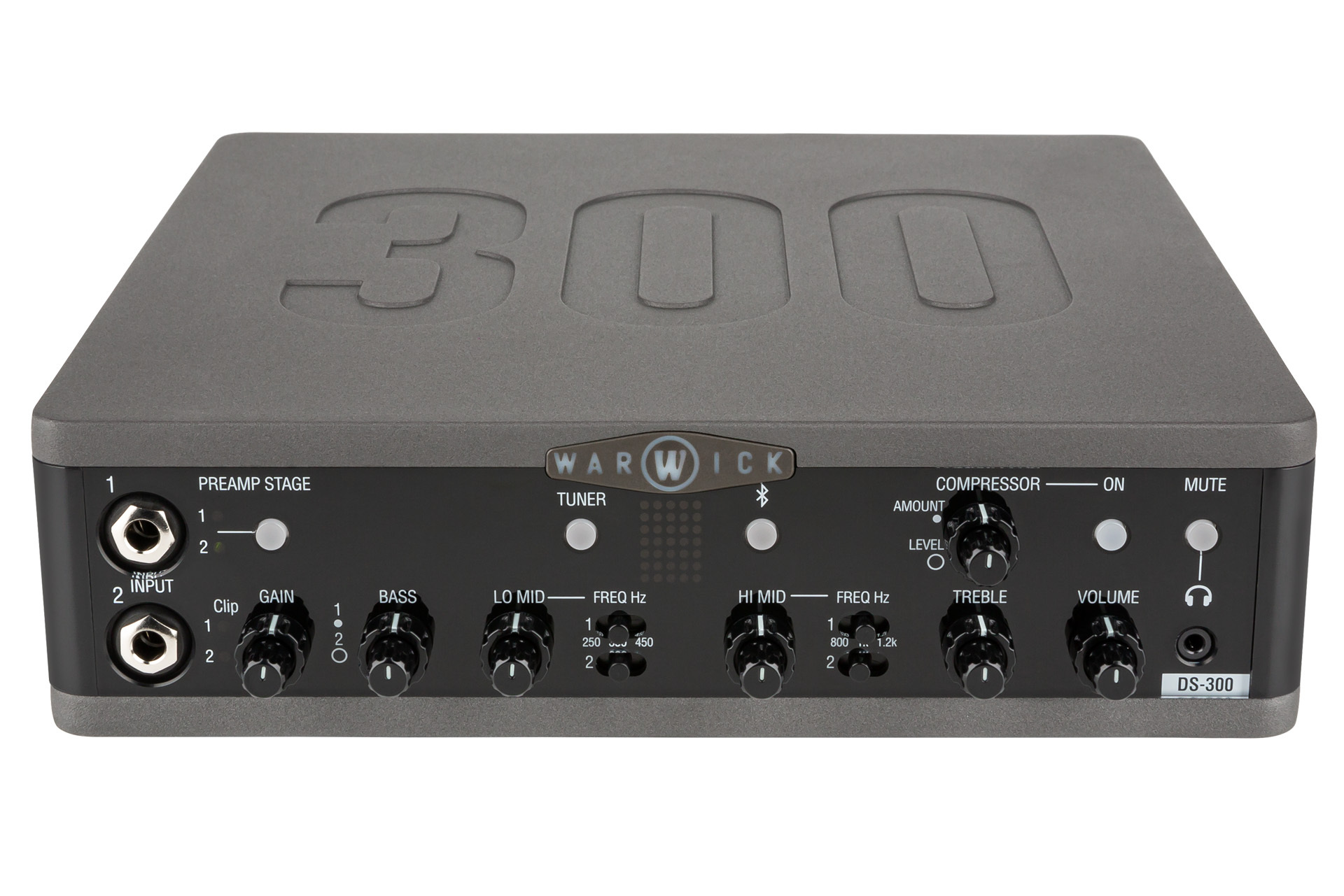 Warwick DS 300 Double Stage Bass Amp Head with USB Interface, 300 Watt