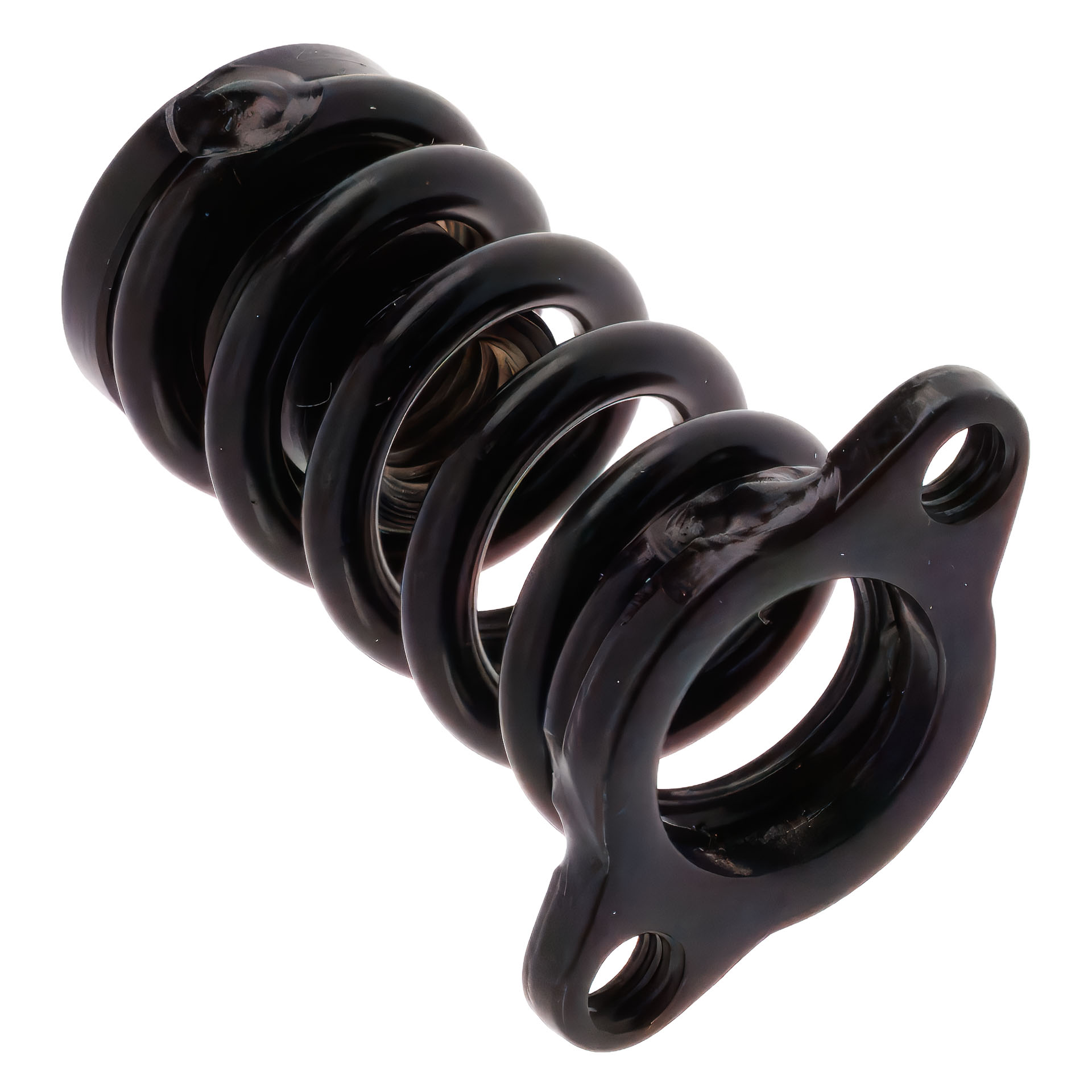 Floyd Rose FRXSAWSP - FRX Spring Assembly with Screws - Black