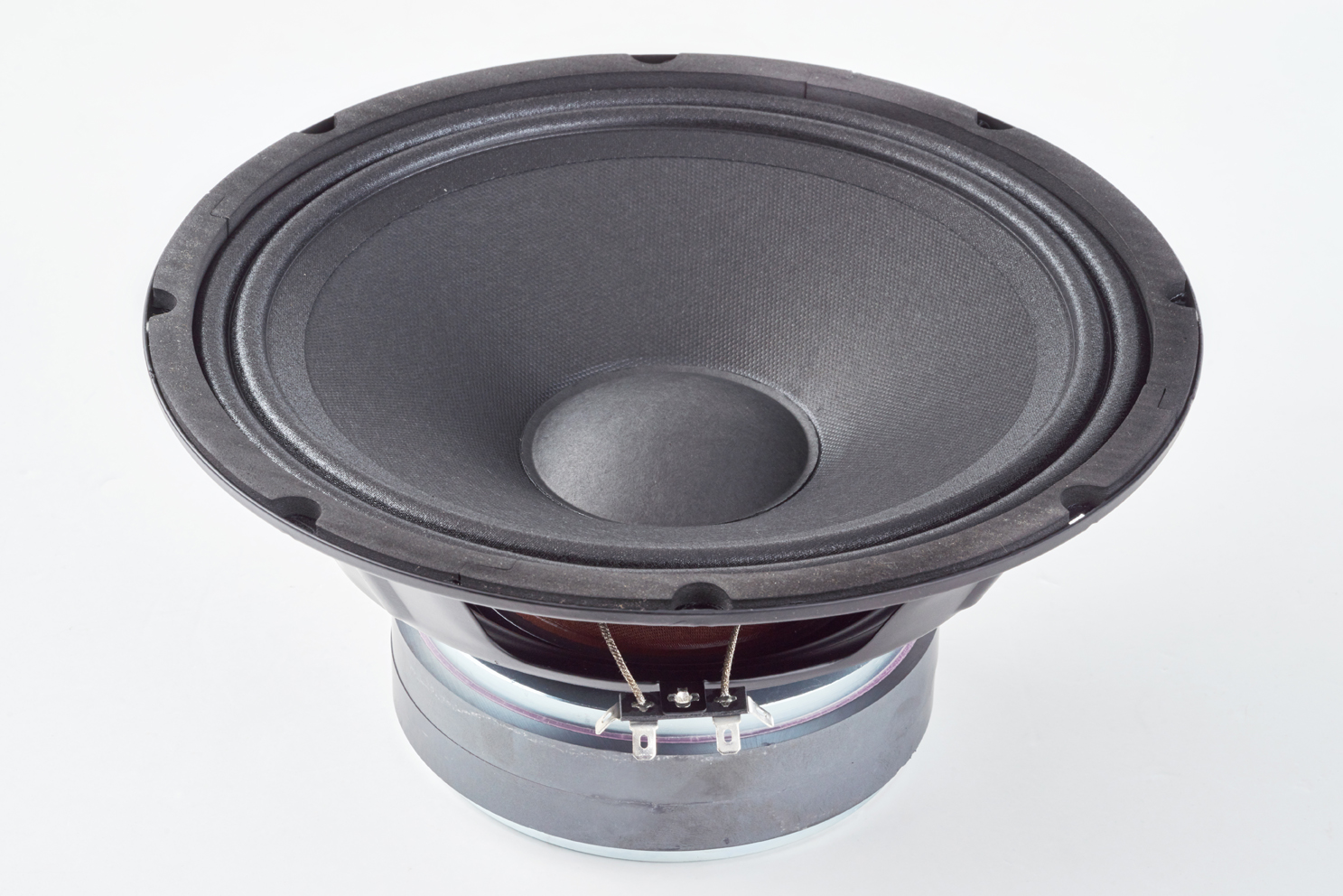 Warwick Amplification Parts - 10" Speaker / 100 W / 8 Ohm - for WCA 210-4, WCA 410-8 and WCA 810-4