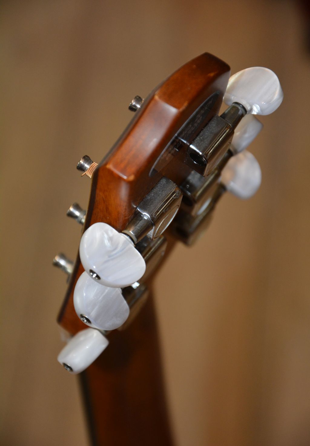 ROMERO R136MJ-CE Mini Jumbo Westerngitarre Cutaway EQ