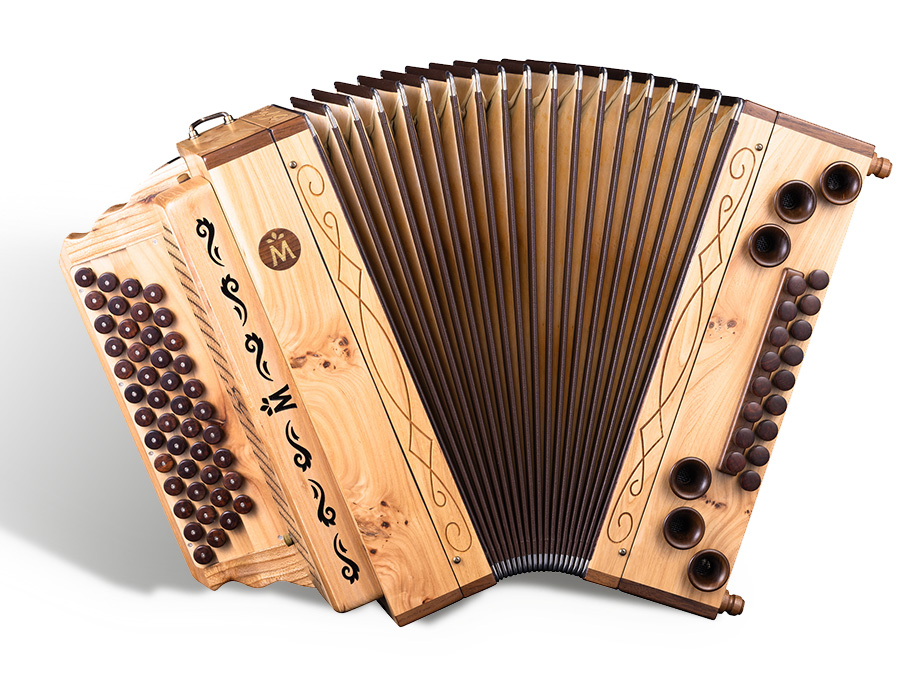 Müller Harmonika - Feld-Ulme - Massiv