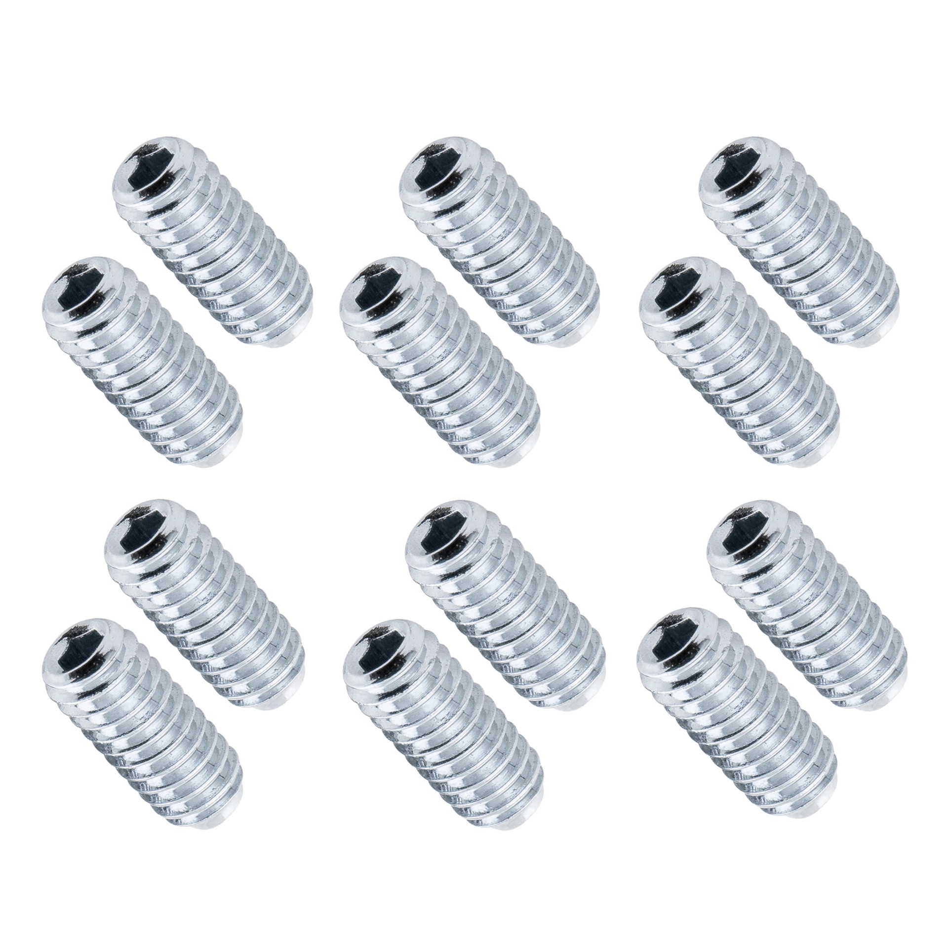 Floyd Rose RTSHASP - Rail Tail Saddle Height Adjustment Screws Set (12 pcs.) - Nickel